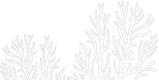 coral image