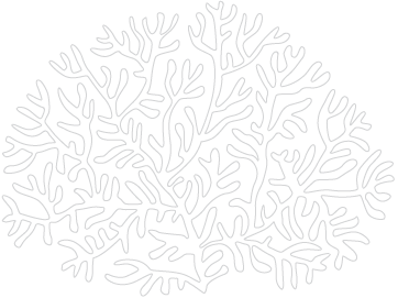 coral image
